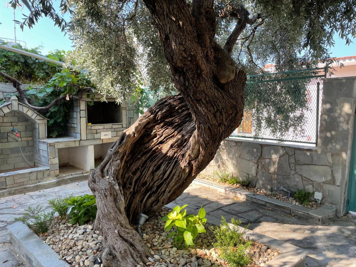 Elia & Meli Villa Σκάλα Καλλιράχης Εξωτερικό φωτογραφία